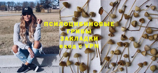 шишки Балахна
