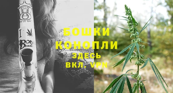 шишки Балахна